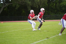 Enlarge photo 131