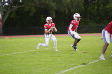 Enlarge photo 133