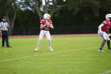 Enlarge photo 136