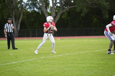 Enlarge photo 137