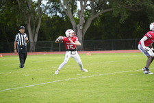 Enlarge photo 141