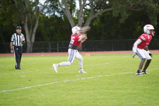 Enlarge photo 143