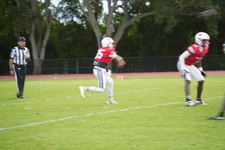 Enlarge photo 144