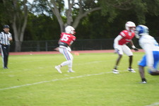 Enlarge photo 145
