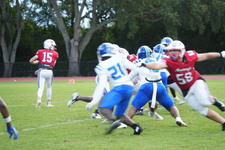 Enlarge photo 151