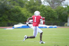 Enlarge photo 153