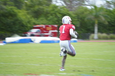 Enlarge photo 154
