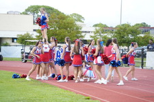 Enlarge photo 167