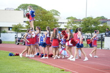 Enlarge photo 168