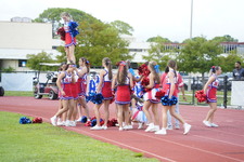 Enlarge photo 169