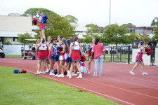 Enlarge photo 173
