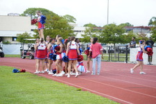 Enlarge photo 174