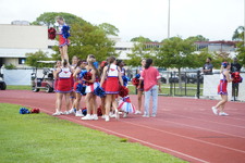 Enlarge photo 175