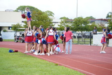 Enlarge photo 176