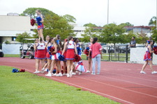 Enlarge photo 177