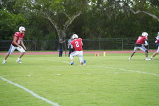 Enlarge photo 179
