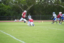 Enlarge photo 186