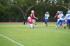 Enlarge photo 190
