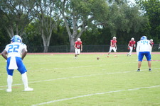 Enlarge photo 235