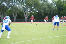Enlarge photo 239