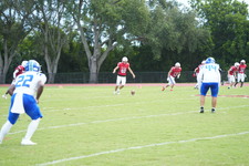 Enlarge photo 240