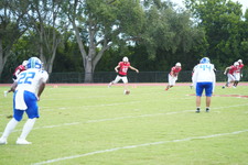 Enlarge photo 241