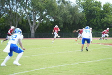 Enlarge photo 244