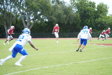 Enlarge photo 246