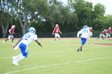 Enlarge photo 247