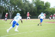 Enlarge photo 248