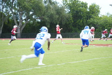 Enlarge photo 249