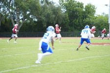 Enlarge photo 250