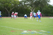 Enlarge photo 253
