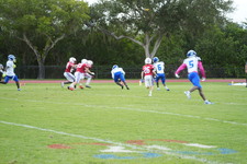 Enlarge photo 254