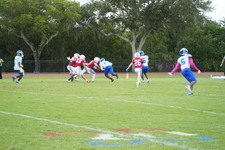 Enlarge photo 255