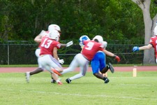 Enlarge photo 256