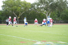 Enlarge photo 257