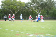 Enlarge photo 258