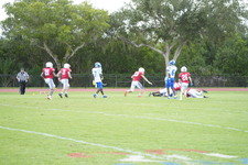 Enlarge photo 259