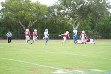Enlarge photo 261