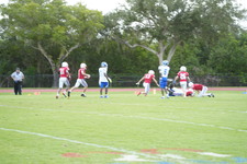 Enlarge photo 262