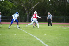 Enlarge photo 287