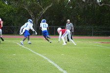 Enlarge photo 291