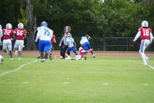 Enlarge photo 296