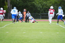 Enlarge photo 299