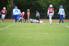 Enlarge photo 301