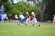 Enlarge photo 306