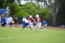 Enlarge photo 307