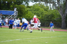 Enlarge photo 309