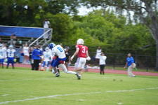 Enlarge photo 310